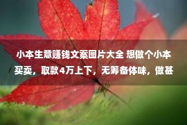 小本生意赚钱文案图片大全 想做个小本买卖，取款4万上下，无筹备体味，做甚么好上手一点？