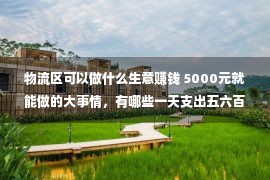 物流区可以做什么生意赚钱 5000元就能做的大事情，有哪些一天支出五六百的？