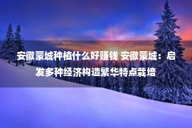 安徽蒙城种植什么好赚钱 安徽蒙城：启发多种经济构造繁华特点栽培