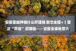 安徽蒙城种植什么好赚钱 新华全媒+丨首次“双收”迎增收——安徽全体地带大豆玉米带状复合栽培播种记