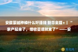 安徽蒙城种植什么好赚钱 新华全媒+｜“家产起来了，增收渠道就宽了”——安徽多地村庄特点家产繁华直击