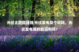 光伏太阳能赚钱 光伏发电是个坑吗，光伏发电真的能赢利吗？