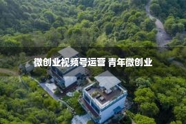 微创业视频号运营 青年微创业