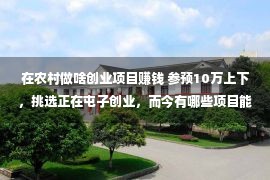 在农村做啥创业项目赚钱 参预10万上下，挑选正在屯子创业，而今有哪些项目能做到稳当赢利？