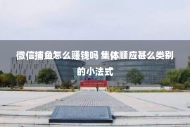 微信捕鱼怎么赚钱吗 集体顺应甚么类别的小法式