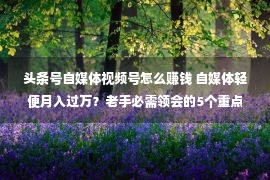 头条号自媒体视频号怎么赚钱 自媒体轻便月入过万？老手必需领会的5个重点