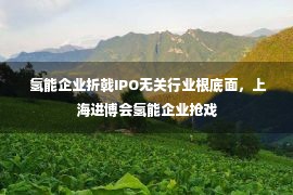  氢能企业折戟IPO无关行业根底面，上海进博会氢能企业抢戏