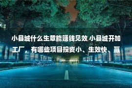 小县城什么生意能赚钱见效 小县城开加工厂，有哪些项目投资小、生效快、赢利稳当？