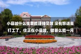 小县城什么生意能赚钱见效 没有想进来打工了，住正在小县城，做甚么能一月挣8000？