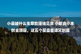 小县城什么生意能赚钱见效 小都会小本创业项目，这五个买卖靠谱又划算