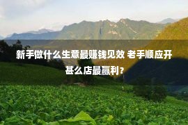 新手做什么生意最赚钱见效 老手顺应开甚么店最赢利？