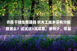 农民干啥生意赚钱 农夫工返乡没有分解做甚么？试试这3高足意，参预少，零星时光可做