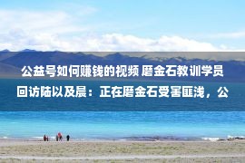 公益号如何赚钱的视频 磨金石教训学员回访陆以及晨：正在磨金石受害匪浅，公益助学金是双赢项目