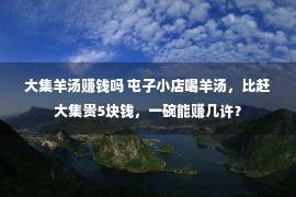 大集羊汤赚钱吗 屯子小店喝羊汤，比赶大集贵5块钱，一碗能赚几许？