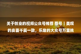 关于创业的视频公众号推荐 荐号｜美观的皮囊千篇一致，乐趣的大众号万里挑一