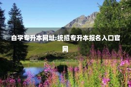 自学专升本网址:统招专升本报名入口官网