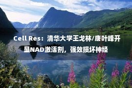  Cell Res：清华大学王戈林/唐叶峰开垦NAD激活剂，强效损坏神经