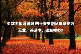 少数老板赚钱吗 四十多岁刚从东家变为无业，苍茫中，该怎样办？