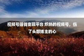 视频号赚钱变现平台 炽热的视频号，伤了头部博主的心