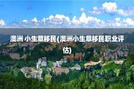 澳洲 小生意移民(澳洲小生意移民职业评估)