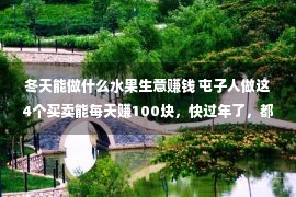 冬天能做什么水果生意赚钱 屯子人做这4个买卖能每天赚100块，快过年了，都加紧机缘赢利吧！