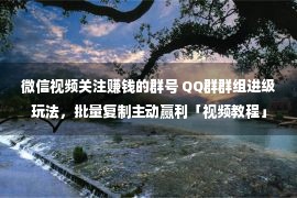 微信视频关注赚钱的群号 QQ群群组进级玩法，批量复制主动赢利「视频教程」