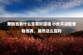 宠物寄养什么生意好赚钱 小伙开店做宠物寄养，居然这么赢利