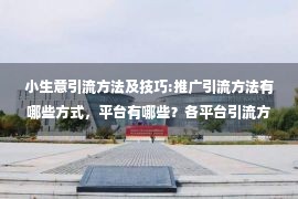 小生意引流方法及技巧:推广引流方法有哪些方式，平台有哪些？各平台引流方法分析！