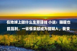 在地球上做什么生意赚钱 小说：睡眠也能赢利，一省悟来却成为猜疑人，我变为外星人了？