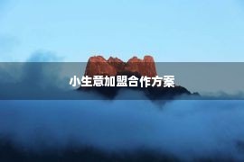 小生意加盟合作方案