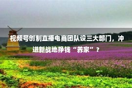  视频号创制直播电商团队设三大部门，冲进新战地挣钱“养家”？