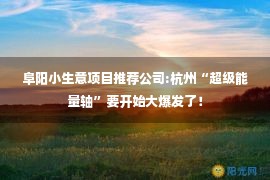 阜阳小生意项目推荐公司:杭州“超级能量轴”要开始大爆发了！