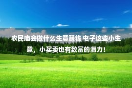 农民庙会做什么生意赚钱 屯子这些小生意，小买卖也有致富的潜力！