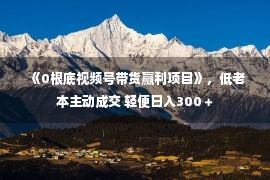  《0根底视频号带货赢利项目》，低老本主动成交 轻便日入300＋