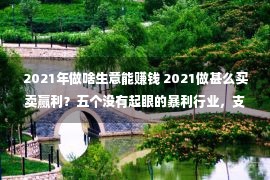 2021年做啥生意能赚钱 2021做甚么买卖赢利？五个没有起眼的暴利行业，支出上万以上