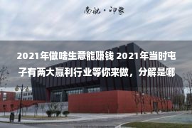 2021年做啥生意能赚钱 2021年当时屯子有两大赢利行业等你来做，分解是哪两个吗