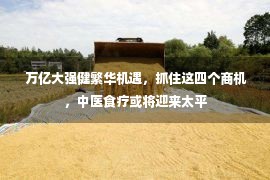  万亿大强健繁华机遇，抓住这四个商机，中医食疗或将迎来太平