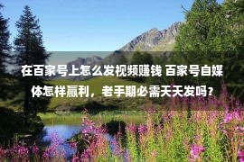 在百家号上怎么发视频赚钱 百家号自媒体怎样赢利，老手期必需天天发吗？