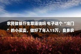 农民做餐厅生意赚钱吗 屯子这个“冷门”的小买卖，做好了年入15万，良多农夫却没有承诺干