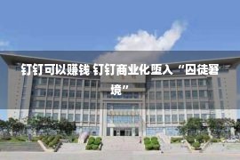 钉钉可以赚钱 钉钉商业化堕入“囚徒窘境”