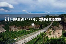 钉钉可以赚钱 2022年，去钉钉生态里投资