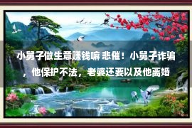 小舅子做生意赚钱嘛 悲催！小舅子诈骗，他保护不法，老婆还要以及他离婚