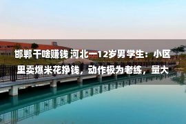 邯郸干啥赚钱 河北一12岁男学生：小区里卖爆米花挣钱，动作极为老练，量大实惠