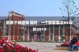 邯郸干啥赚钱 赢利 · 一个邯郸国企80后的2019