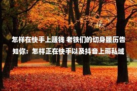 怎样在快手上赚钱 老铁们的切身履历告知你：怎样正在快手以及抖音上薅私域流量