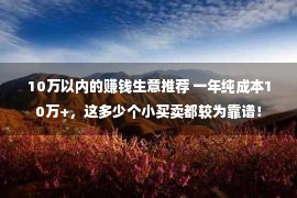 10万以内的赚钱生意推荐 一年纯成本10万+，这多少个小买卖都较为靠谱！