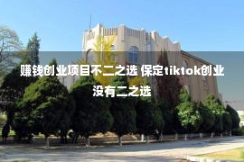 赚钱创业项目不二之选 保定tiktok创业没有二之选