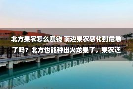 北方果农怎么赚钱 南边果农感化到危急了吗？北方也能种出火龙果了，果农还能赢利吗