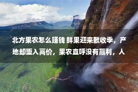 北方果农怎么赚钱 鲜果迎来歉收季，产地却堕入高价，果农直呼没有赢利，人工比果子贵