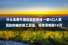 什么生意不用投资能赚钱 一家3口人就灵动的袖珍加工买卖，投资没有到10万，月支出能到2万多